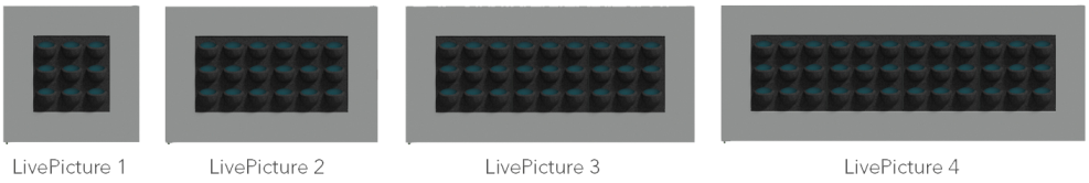 LivePicture-1-4